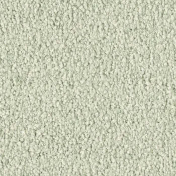 Vorwerk Violetta 6C95 – Draufsicht Teppichboden Farbe 6C95 ohne Badge